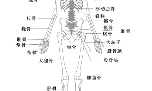 孕晚期营养补充要点-孕晚期的营养网孕晚期的营养要点知识网站,分享孕晚期的营养需求大全